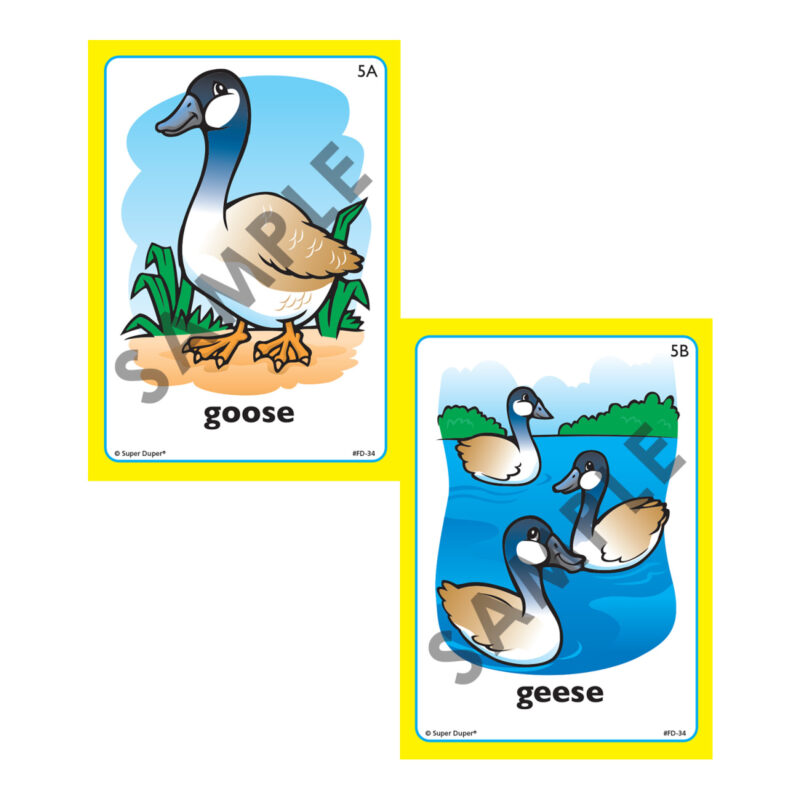 Fun Deck® Plurals Bundle - Image 5