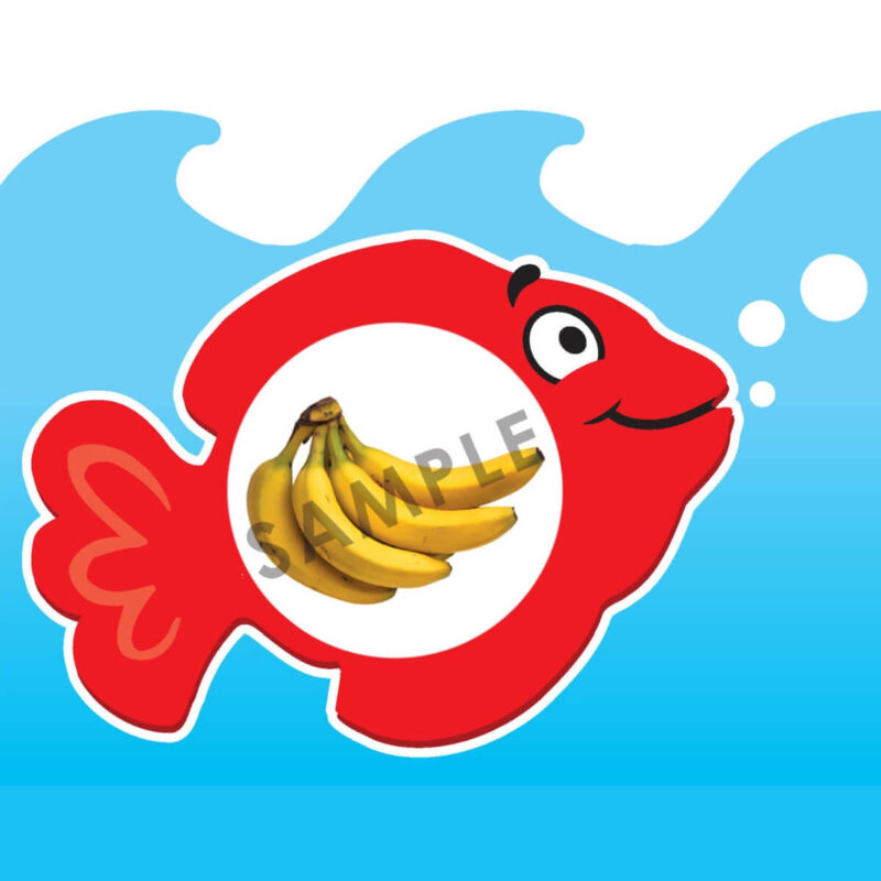 Classifying Photo Fish™ - Image 7