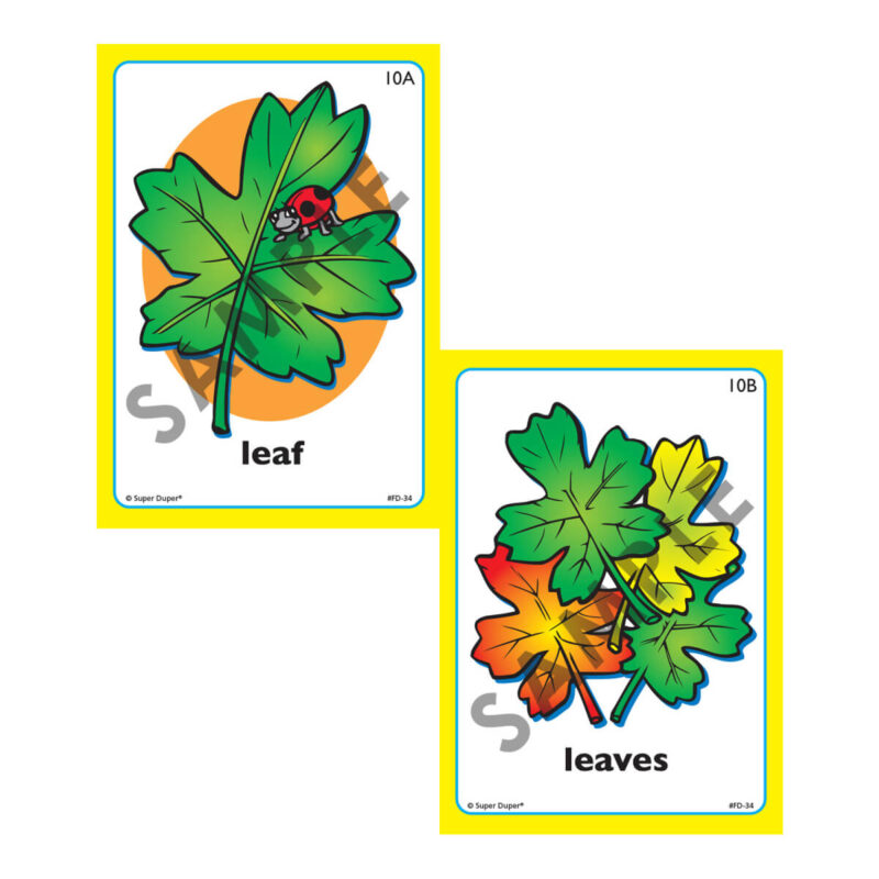 Fun Deck® Plurals Bundle - Image 11