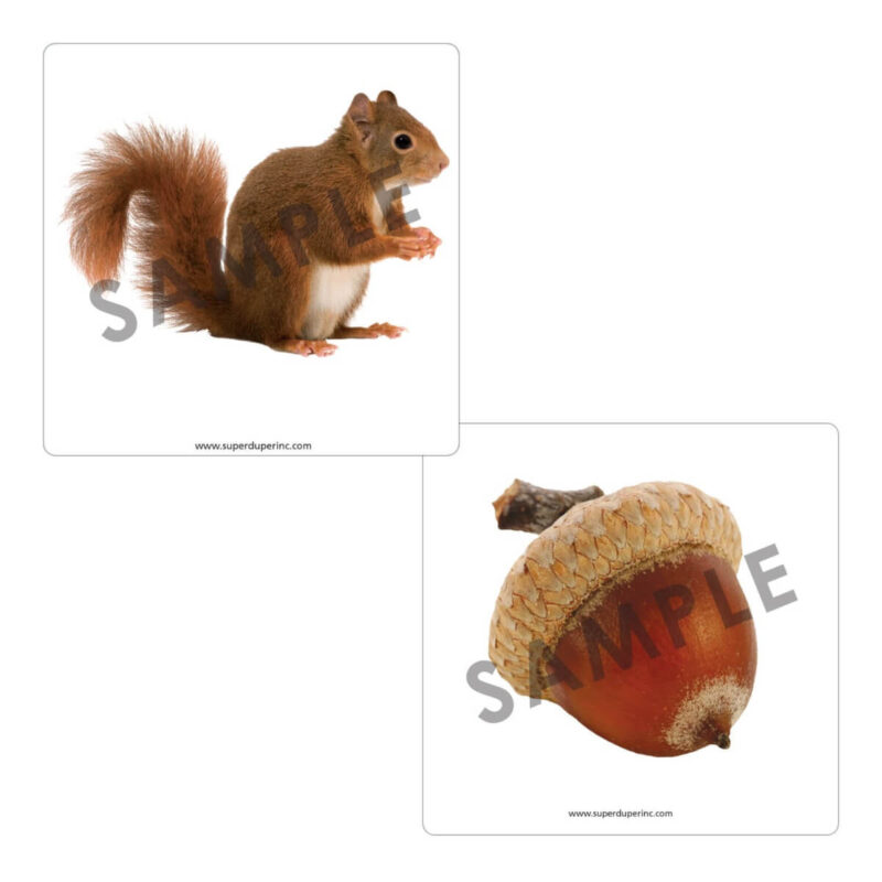 Anytime Go-Togethers Super Photo Fun Deck® - Image 3