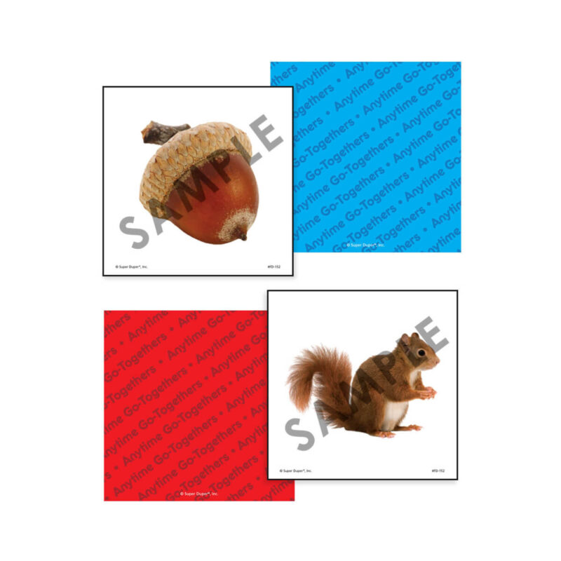 Anytime Go-Togethers Super Photo Fun Deck® - Image 11