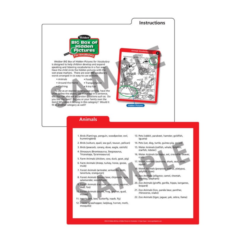 Webber® BIG Box of Hidden Pictures For Vocabulary - Image 8