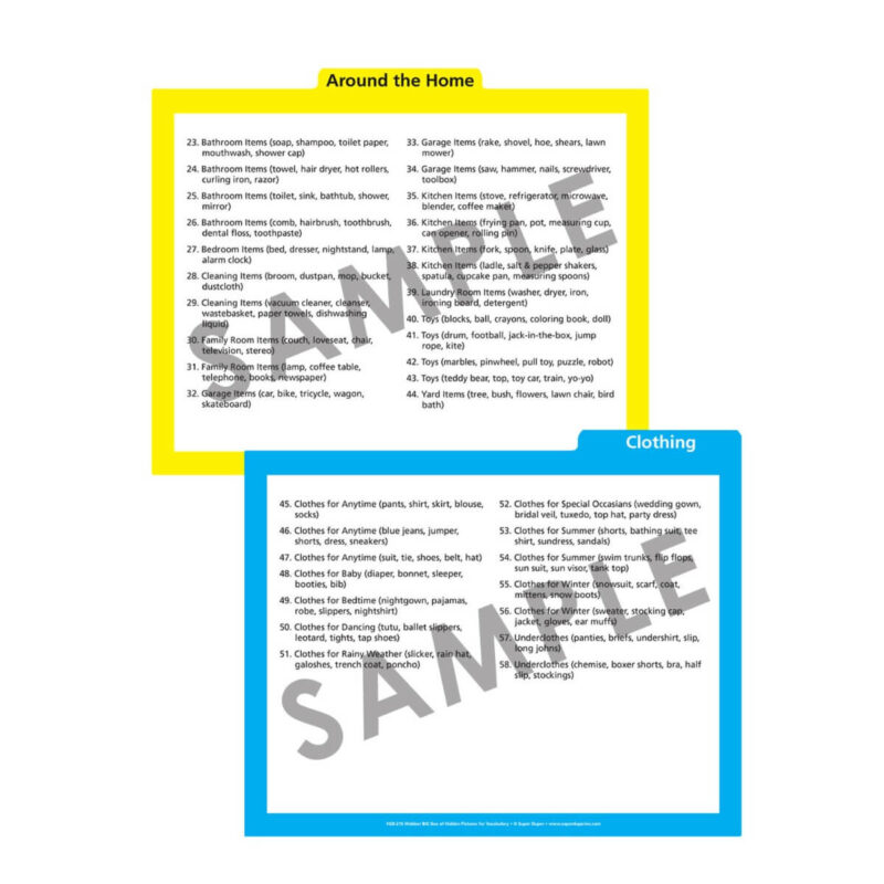 Webber® BIG Box of Hidden Pictures For Vocabulary - Image 7