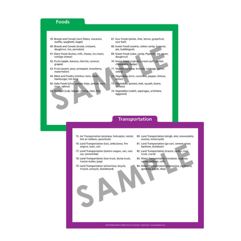 Webber® BIG Box of Hidden Pictures For Vocabulary - Image 6
