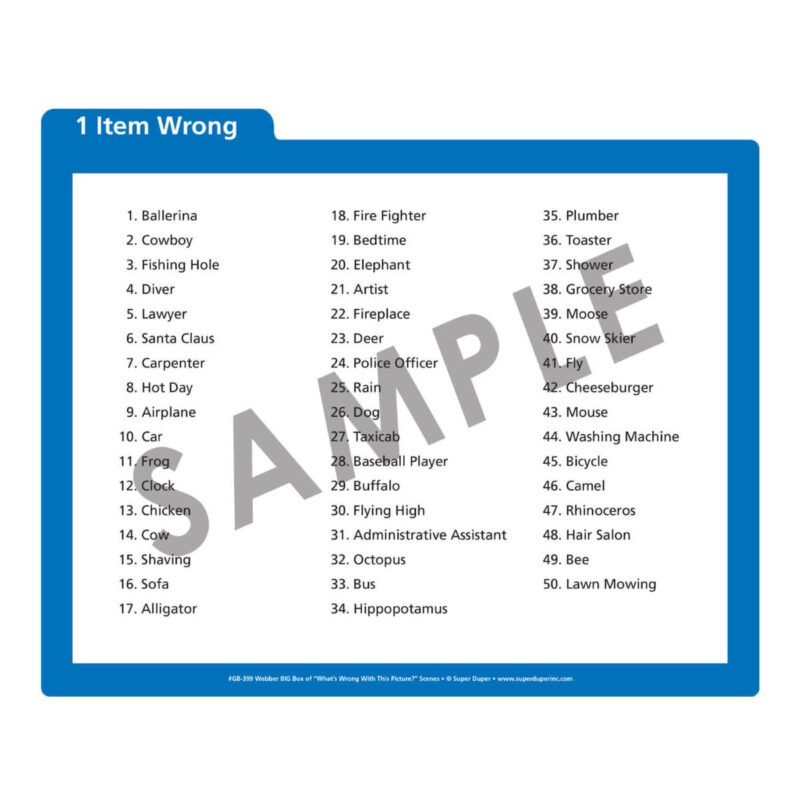 Webber® BIG Box of “What’s Wrong with This Picture?” Scenes - Image 7