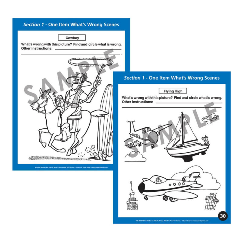 Webber® BIG Box of “What’s Wrong with This Picture?” Scenes - Image 4