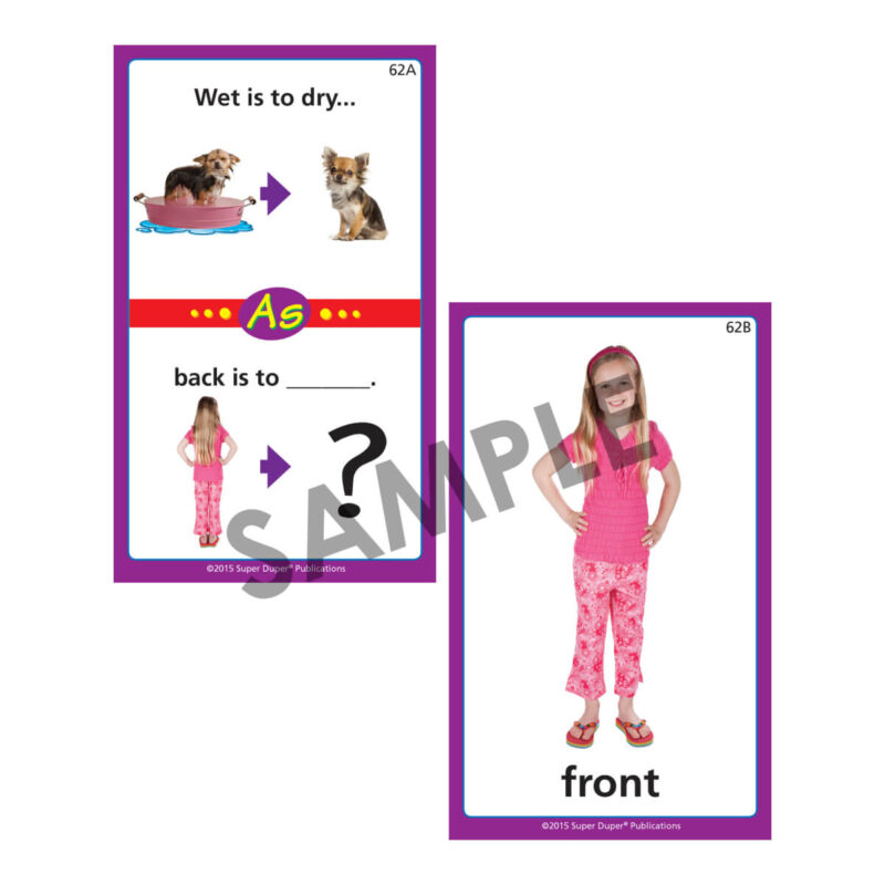 Webber® Photo Analogies Cards - Image 4